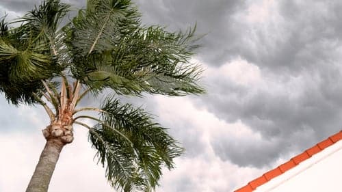 Roof Replacement in Miami: What Homeowners Should Know Before They Commit